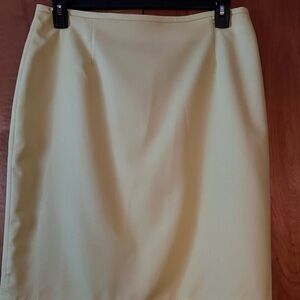 Elegant mint green Pencil Skirt